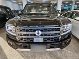 بي واي دي دينزا بي5 2027  جديد تمامًا