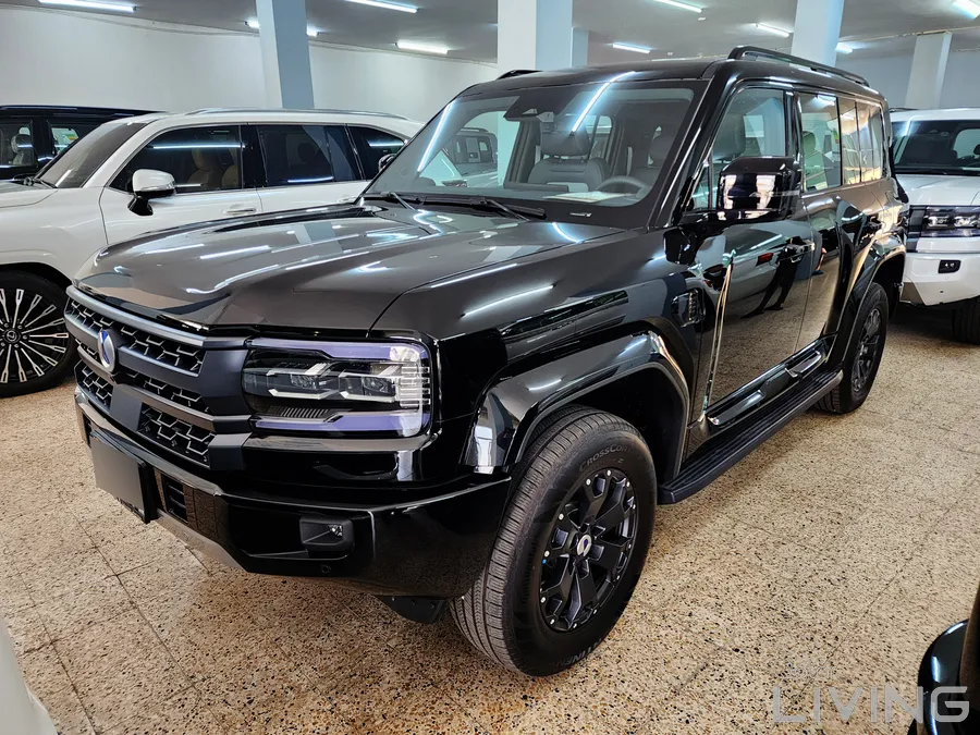 بي واي دي Leopard 8 2026 — QatarLiving