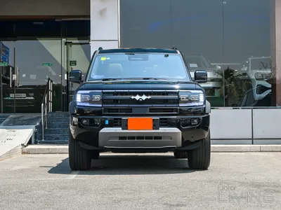 بي واي دي ليوبارد 5 2026
