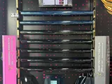 Best PFP and Tinting service in Doha!
