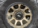 17 inch alloys (DIRTY LIFE)