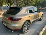 Carbon fiber, V6 Macan