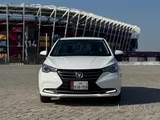 شانجان ألسفين 2024