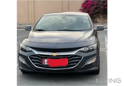 Chevrolet Malibu LS 2019