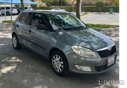 Skoda Fabia  2014