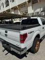 Company paint