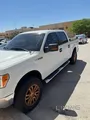 Company paint