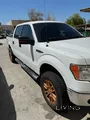 Company paint