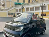 Convertible Micro Car