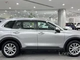 CRV- Touring 2025