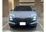 Dashing 2024 V4 Full Option  like new