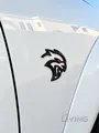 DODGE Charger RT Plus V8 345 HEMI 5.7L Widebody