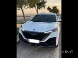Dongfeng Mage 2025 low mileage