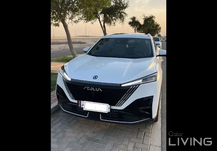 Dongfeng Mage  2025