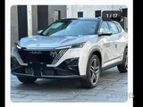 Dongfeng Mage 2025 low mileage