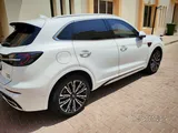 Hongqi HS5 2026