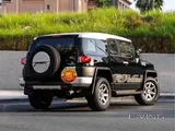 Fj top 2022 km 33k