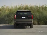 FORD EXPEDITION 2025