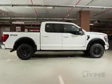 Ford F-150 Platinum 2024 For Sale 