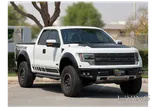 Ford F-150 Raptor 2014