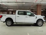Ford F150 XLT 2024 For Sale 
