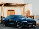 Ford Mustang Ecoboost Widebody 2019