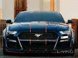 Ford Mustang Ecoboost Widebody 2019