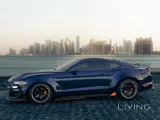 Ford Mustang Ecoboost Widebody 2019