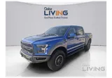 FORD RAPTOR PERFORMANCE 2020