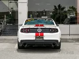 Ford Shelby GT 500
