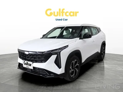 جيلي سيتي راي ستاندرد 2026