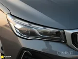 جيلي إمجراند
