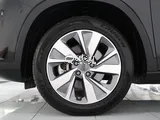 Geely okavango