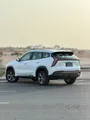 جيلي ستراي