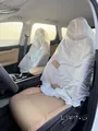 جيلي ستراي