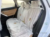 جيلي ستراي