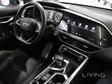 Geely Tugella Black roof