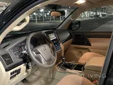 GXR 2019 v8