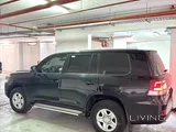 GXR 2019 v8