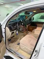 GXR 2021 V8