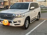 GXR V8 2019