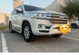 GXR V8 2019
