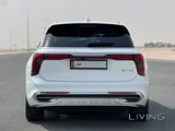 Hongqi E-HS9 2023