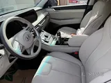 Hyundai Palisade Caligraphy Full option