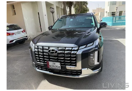 Hyundai Palisade  2024