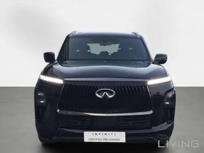 Infiniti QX 80 2025
