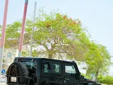 Jeep Wrangler Sahara 2012