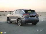 جيتور داشينغ بيسك