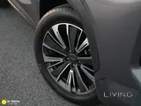 جيتور داشينغ بيسك