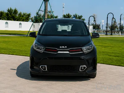 Kia Picanto  2019